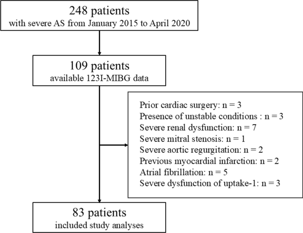 Prolonged corrected QT interval is associated with cardiac sympathetic nervous function overactivity in patients with severe aortic stenosis: assessment by 123I-metaiodobenzylguanidine myocardial scintigraphy