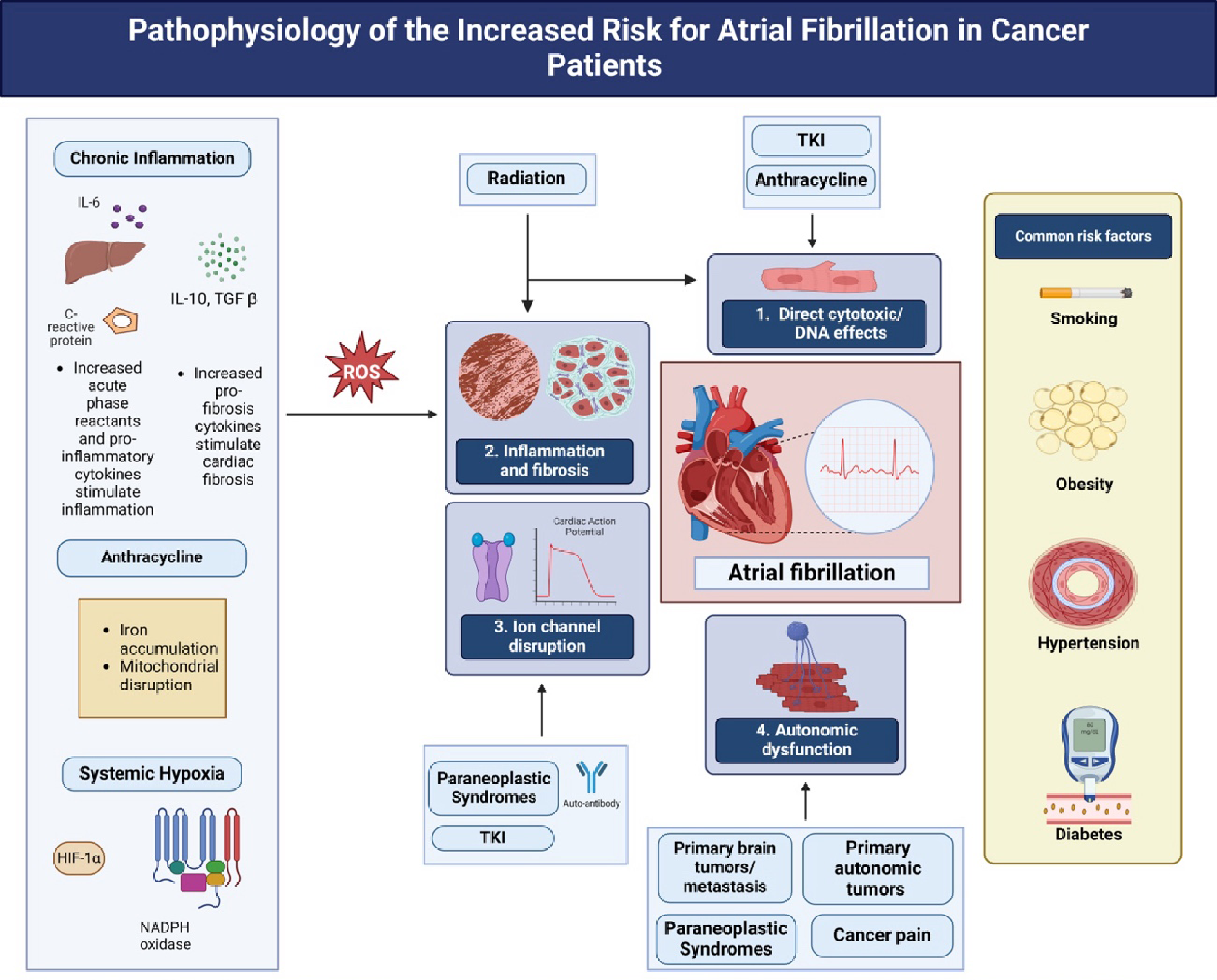Atrial fibrillation and ischemic stroke in cancer: the latest scientific evidence, current management, and future directions