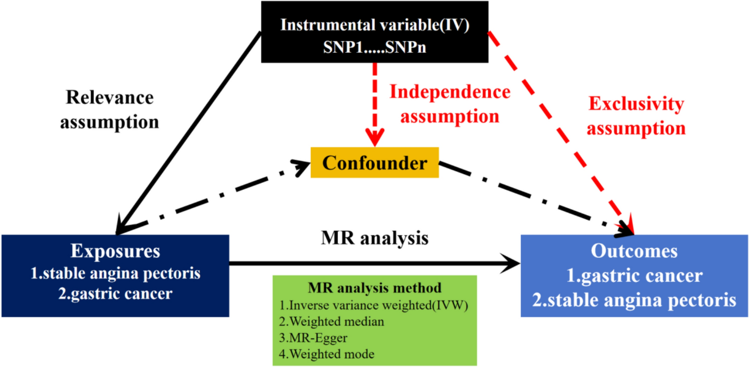 Association between stable angina pectoris and gastric cancer: two-sample bidirectional mendelian randomization study