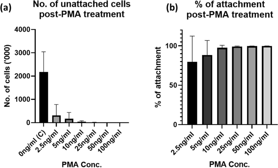 and  Serve as Essential Gatekeepers for Monitoring In Vitro Production of Pro-inflammatory Cytokines in THP-1 Monocytic Cells