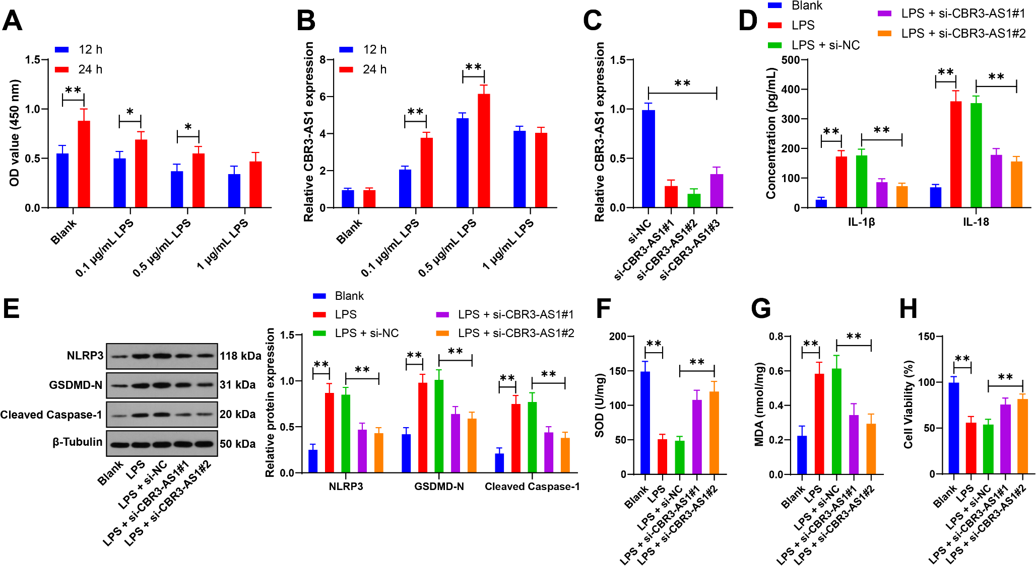Mechanism of LncRNA CBR3-AS1 in regulating pyroptosis of intestinal epithelial cells in ulcerative colitis
