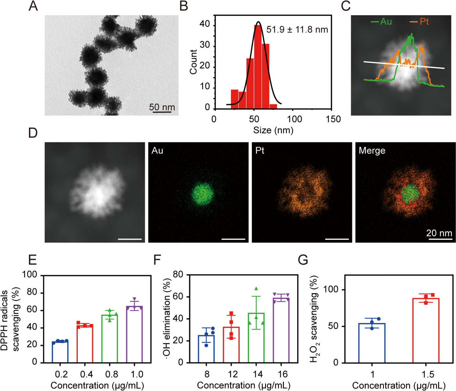 Au@Pt Nanoparticles Enhance Maturation and Contraction of Mouse Embryonic Stem Cells-Derived and Neonatal Mouse Cardiomyocytes