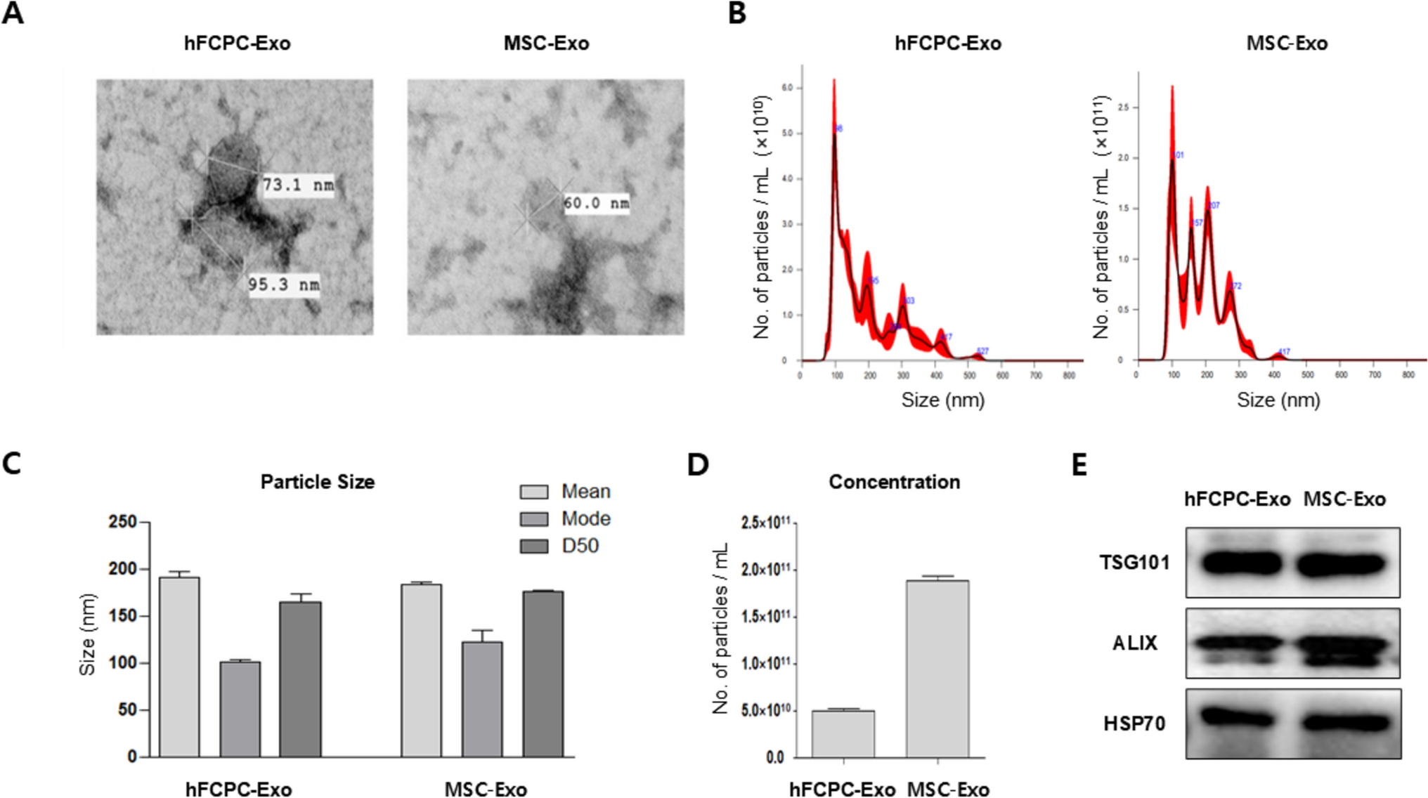 Exosomes of Human Fetal Cartilage Progenitor Cells (hFCPCs) Inhibited Interleukin-1β (IL-1β)-Induced Osteoarthritis Phenotype via miR-125b-5p