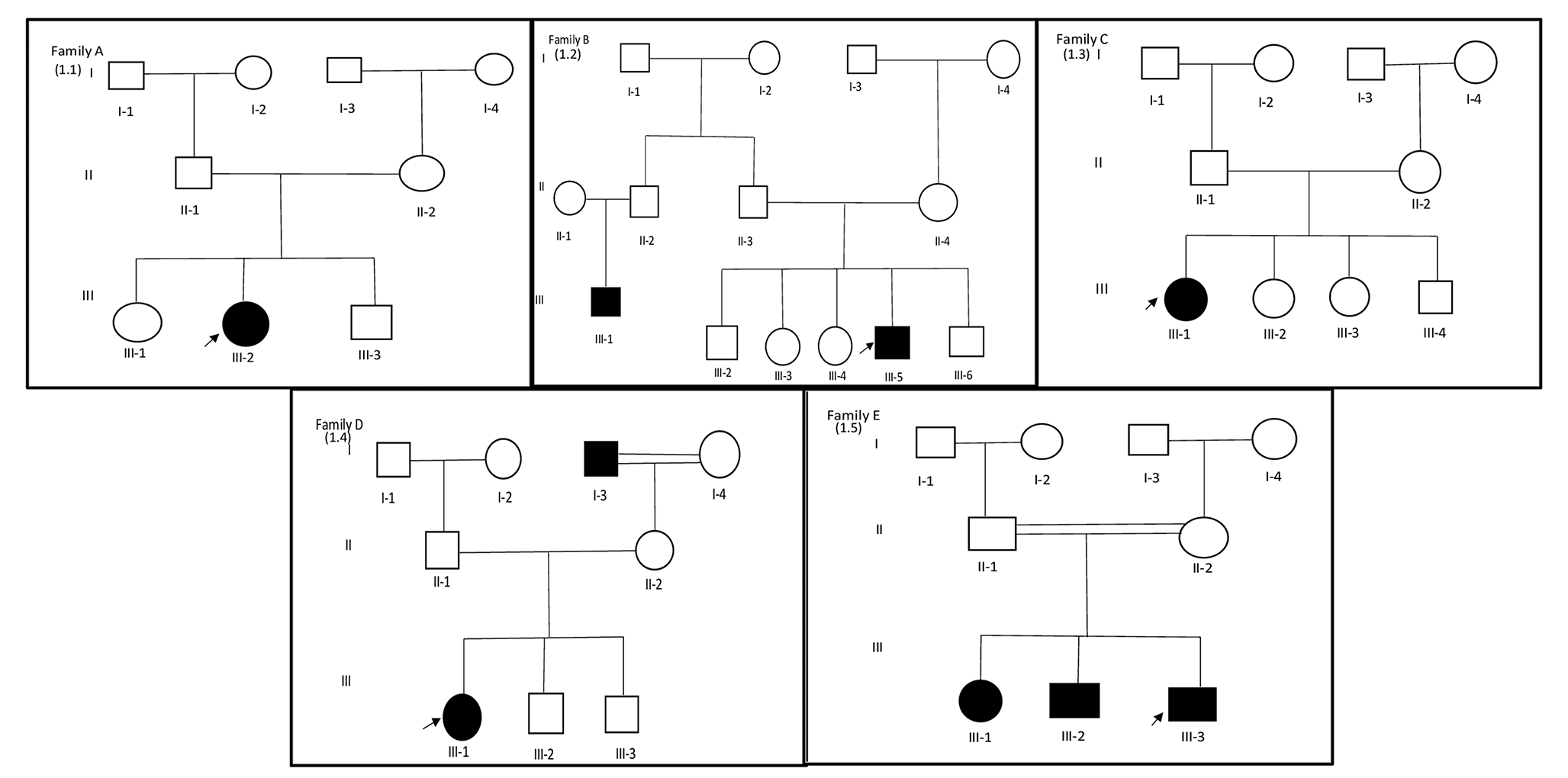 Identification of mutations in five Pakistani families with Epilepsy