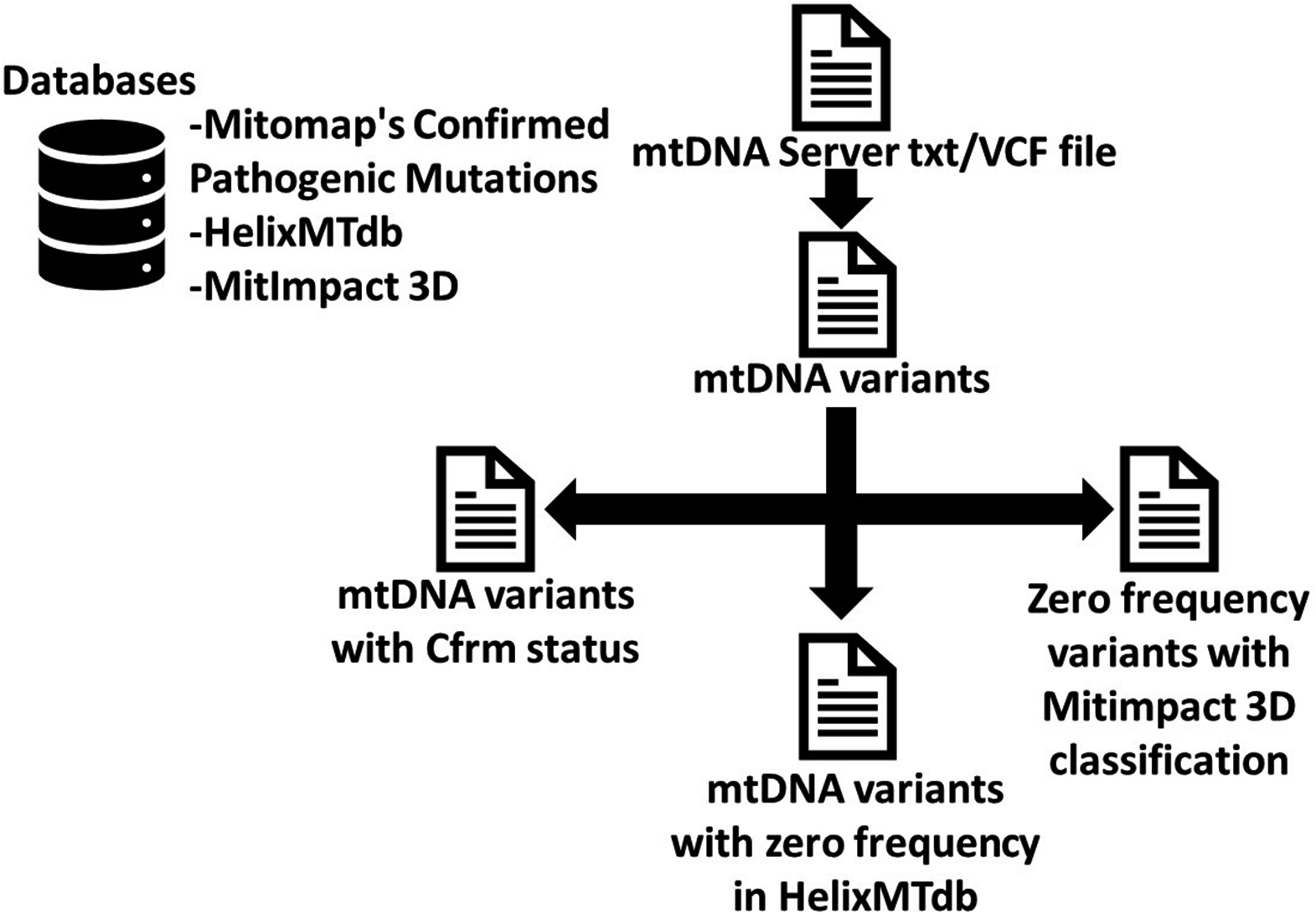 Mitochondrial DNA variants revealed by whole exome sequencing: from screening to diagnosis and follow-up