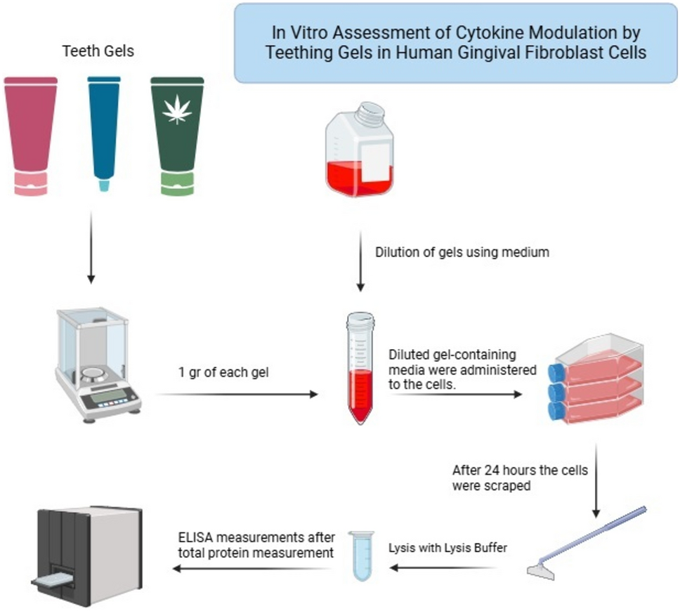 In vitro assessment of cytokine modulation by choline salicylate, hyaluronic acid, lidocaine-based six different teething gels in human gingival fibroblast cells