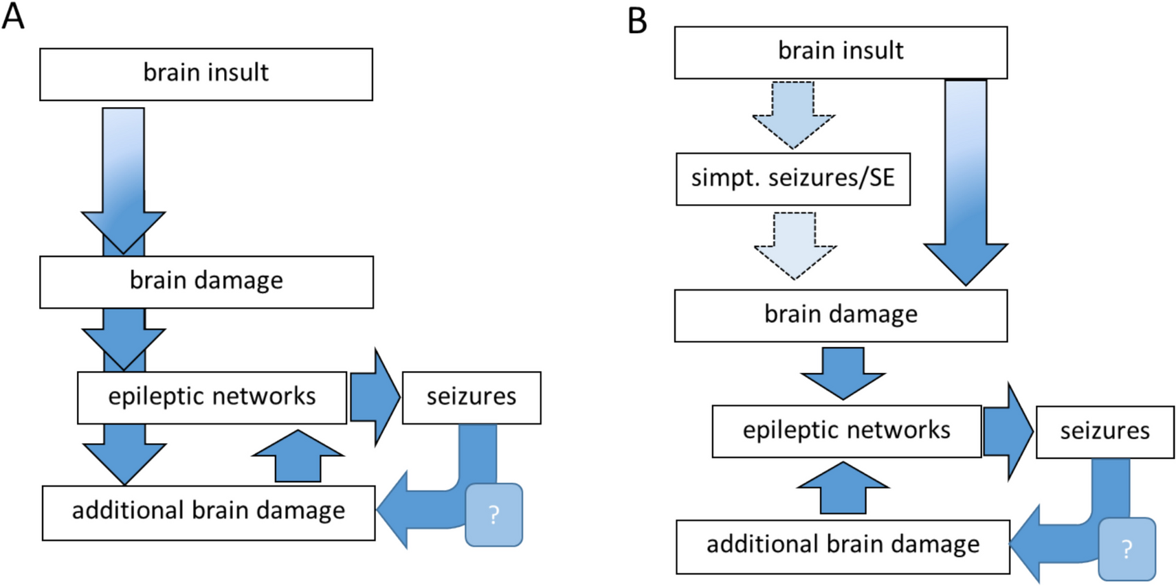 Causal correlation between seizure activity and brain damage