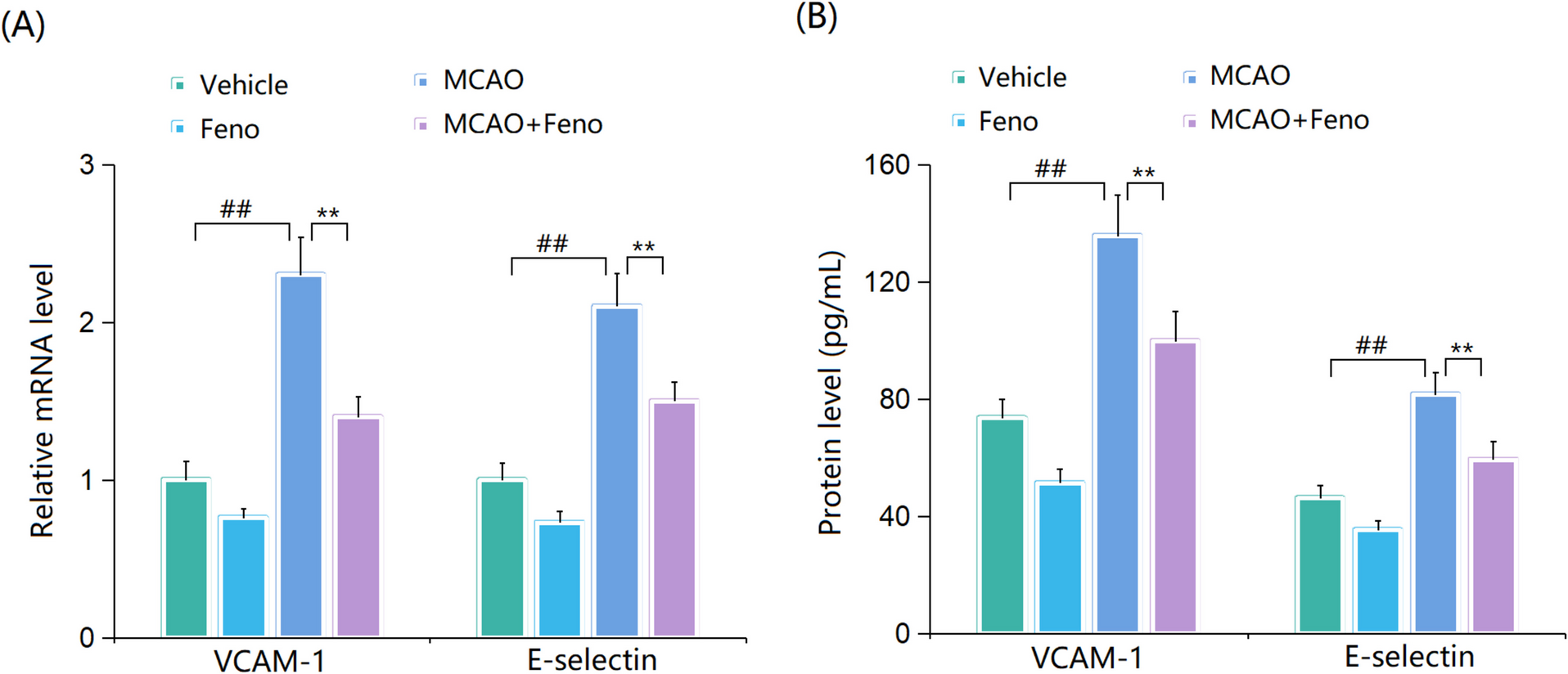 Fenofibrate maintains the integrity of the blood–brain barrier during cerebral ischemia–reperfusion injury by inhibiting Egr- 1