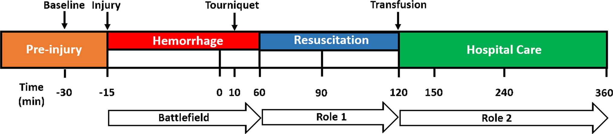 Development and description of a porcine model of combat casualty care for traumatic-hemorrhagic shock research and medical training