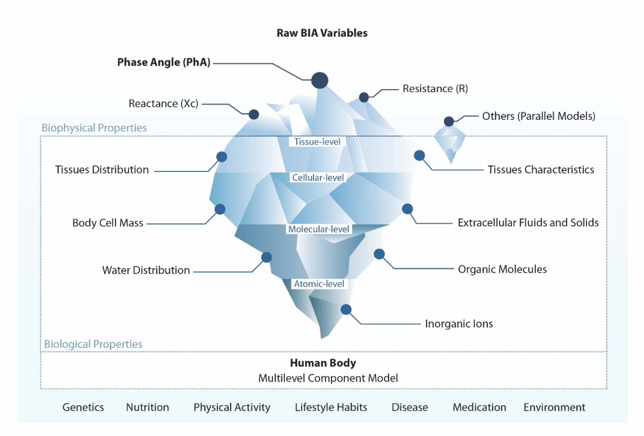 The science of bioelectrical impedance-derived phase angle: insights from body composition in youth