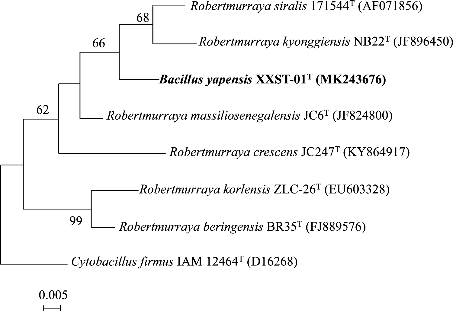 Proposal to Transfer  to the Genus  as  comb. nov