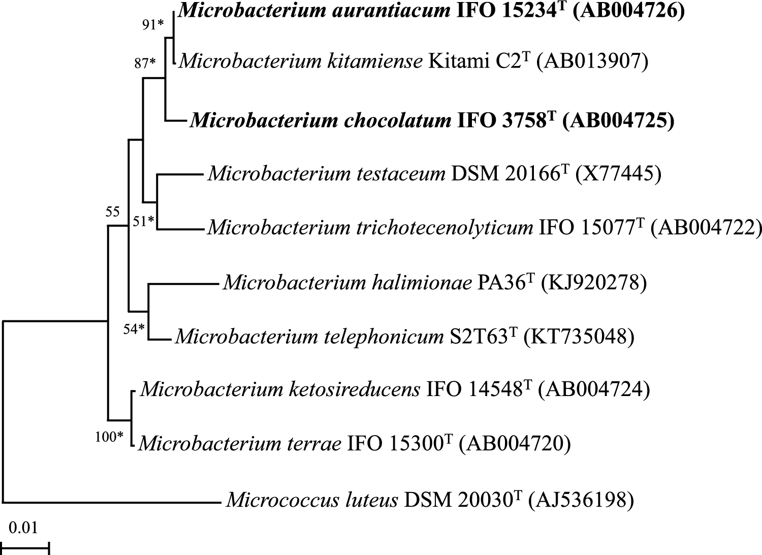 Reclassification of  Takeuchi and Hatano 1998 as a Later Heterotypic Synonym of  Takeuchi and Hatano 1998