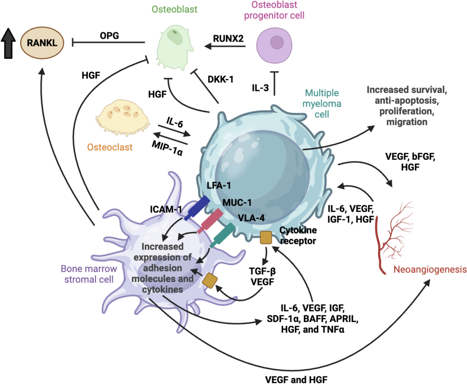 Genetic, epigenetic, and molecular determinants of multiple myeloma and precursor plasma cell disorders: a pathophysiological overview