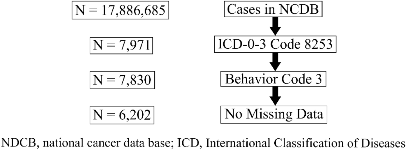 Demographic and prognostic factors affecting survival in invasive mucinous adenocarcinoma: a national cancer database analysis