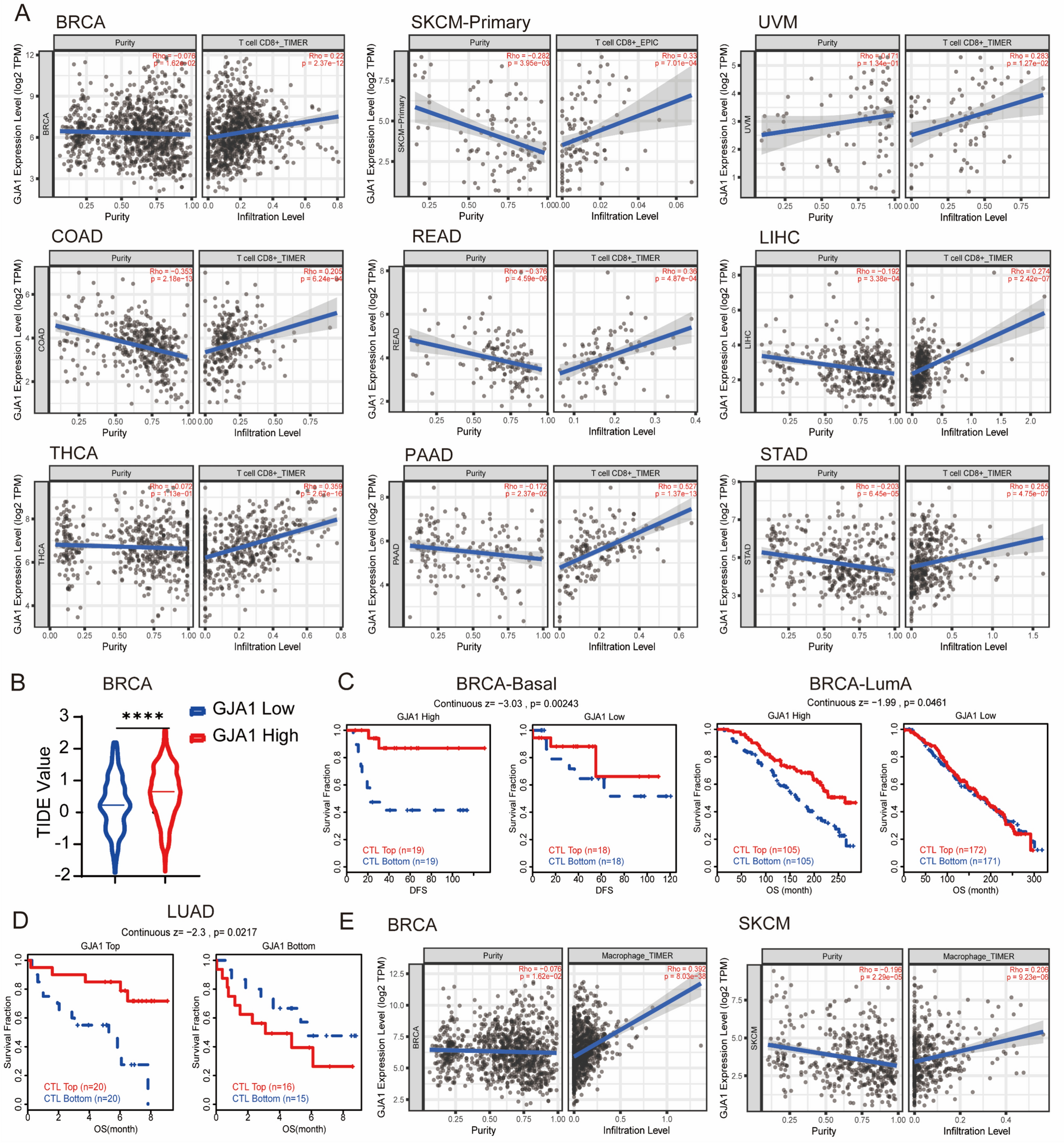 Cx43 mediates cross-talk of tumor cells and macrophage via cGAS-STING signaling