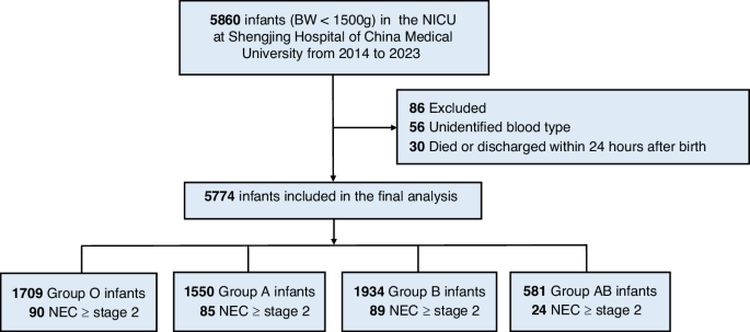Impact of ABO blood group on NEC incidence and mortality in VLBW infants