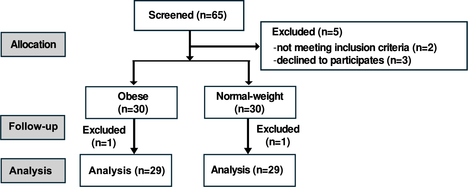 Effect of Obesity on Pharmacokinetics of Lidocaine and its Active Metabolites in Chinese Patients Undergoing Laparoscopic Bariatric Surgery: A Prospective Clinical Study