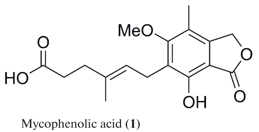 Marine Fungi: In Search of New Antibacterial Drugs