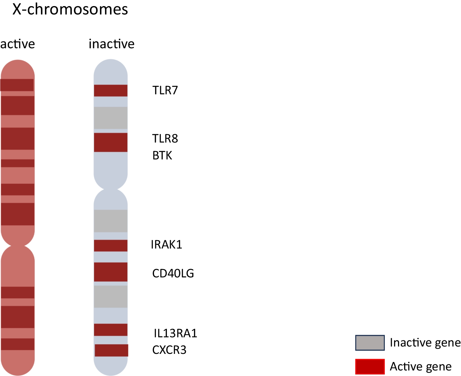 Sex Bias in Systemic Sclerosis: from Clinical to Immunological Differences