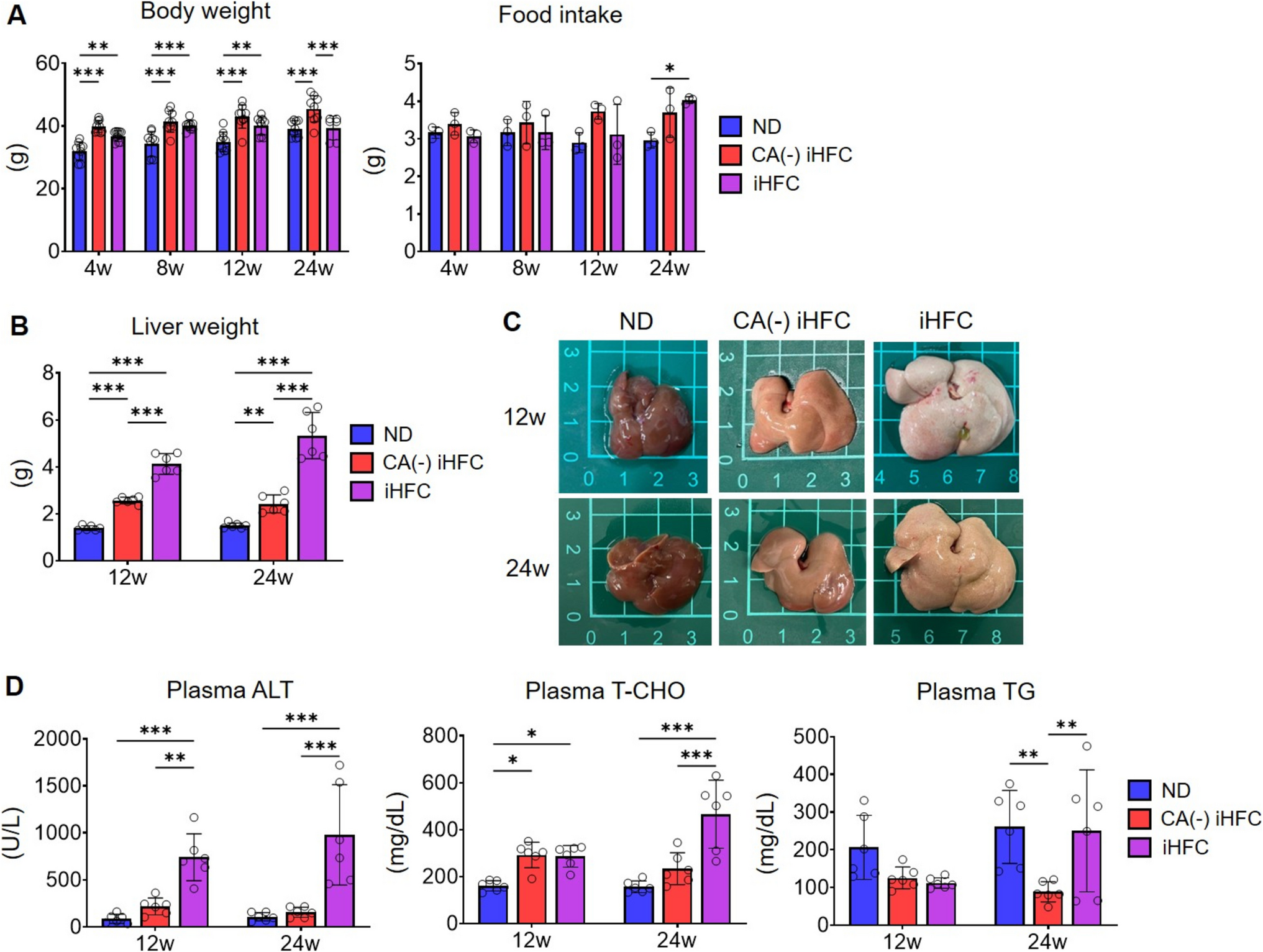 Critical Role of Cholic Acid in the Development of iHFC Diet-induced MASH in TSNO Mice