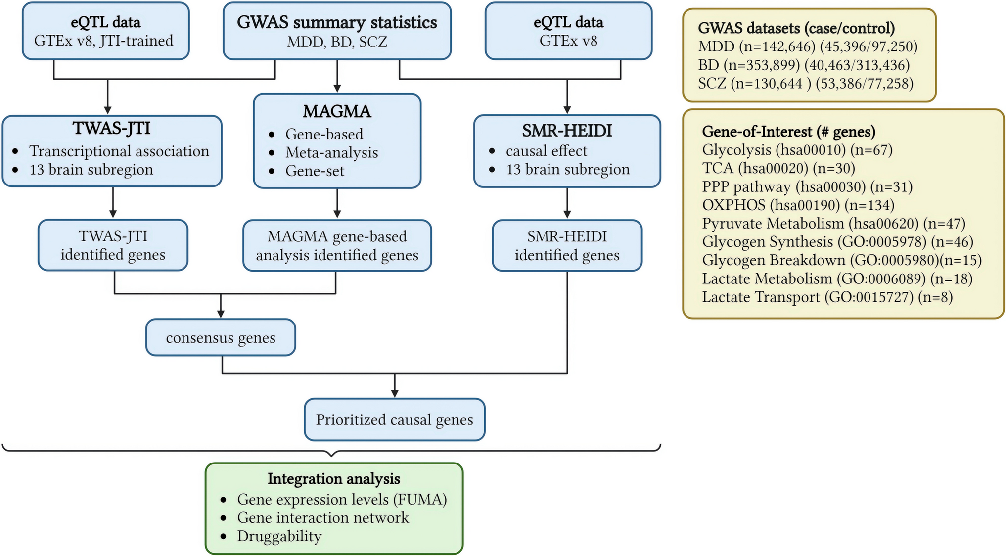 Multi-omics Analysis of Energy Metabolism Pathways Across Major Psychiatric Disorders