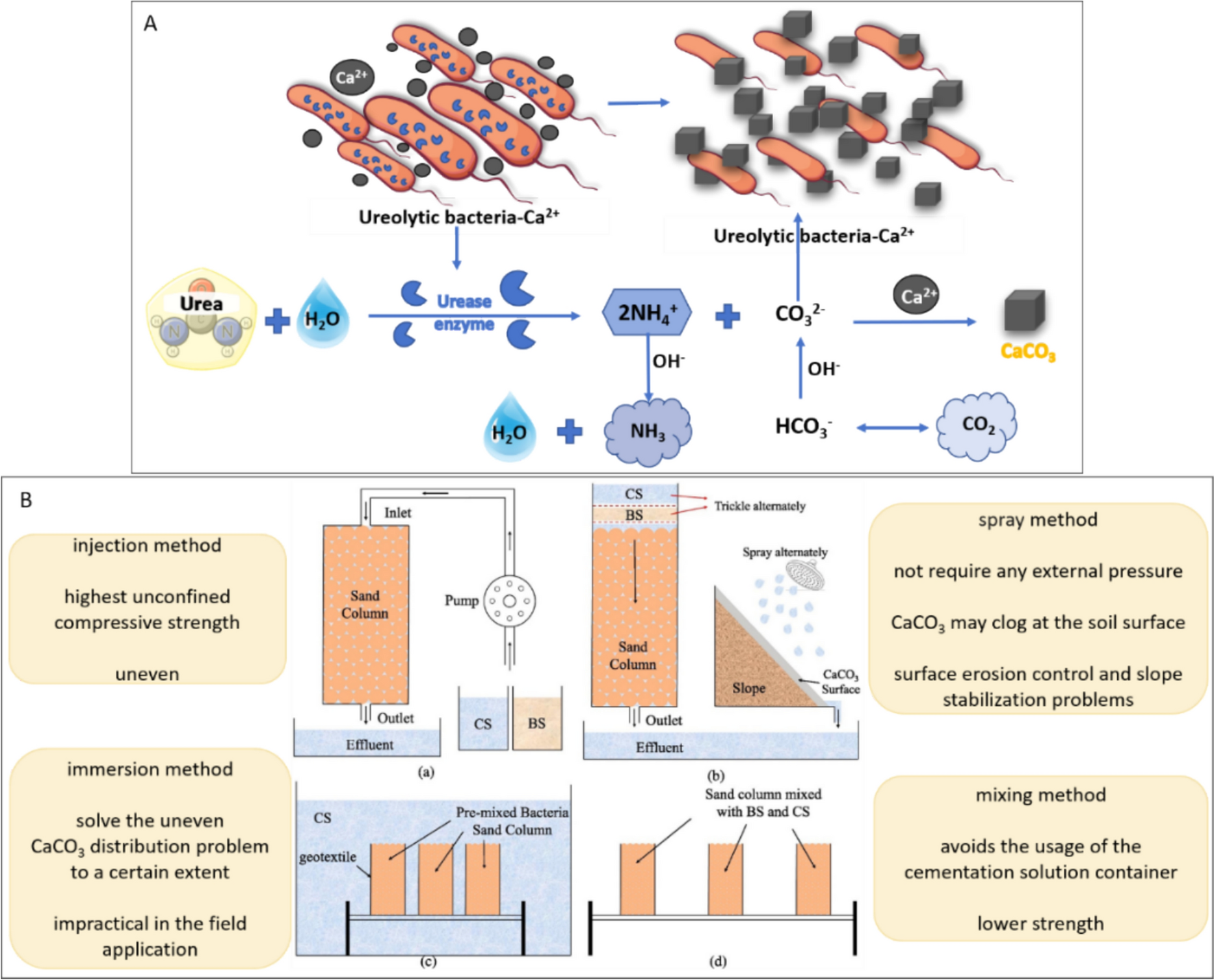 Polymer-assisted ureolytic microbially induced carbonate precipitation: mechanisms, efficiency optimization, and bio-cementation applications