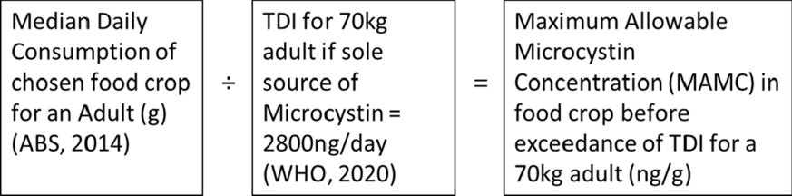 Uptake of the cyanobacterial toxin microcystin by crop plants irrigated with contaminated wastewater: a review