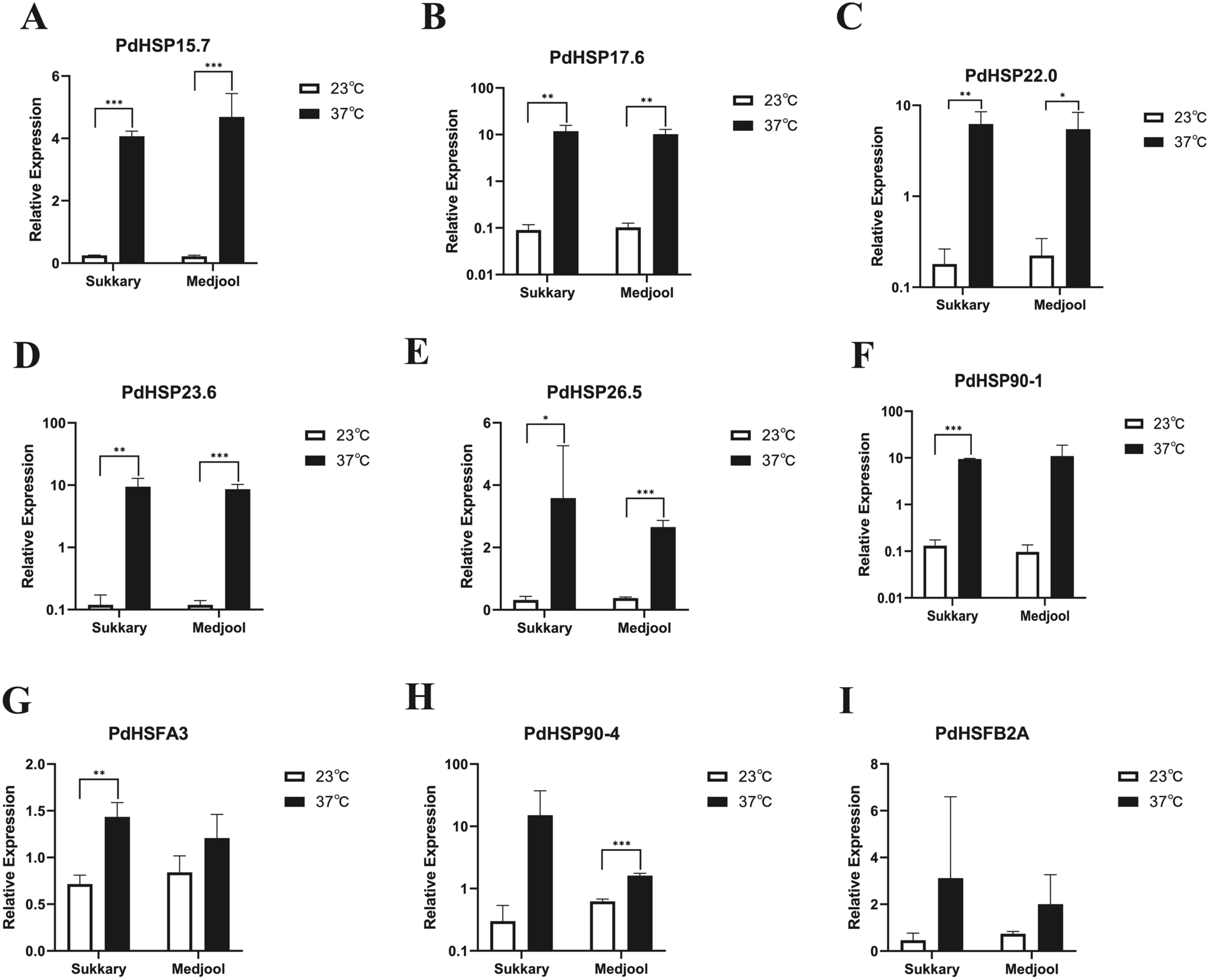 Role of heat shock proteins and analysis of gene expression in response to high temperatures in date palm ()