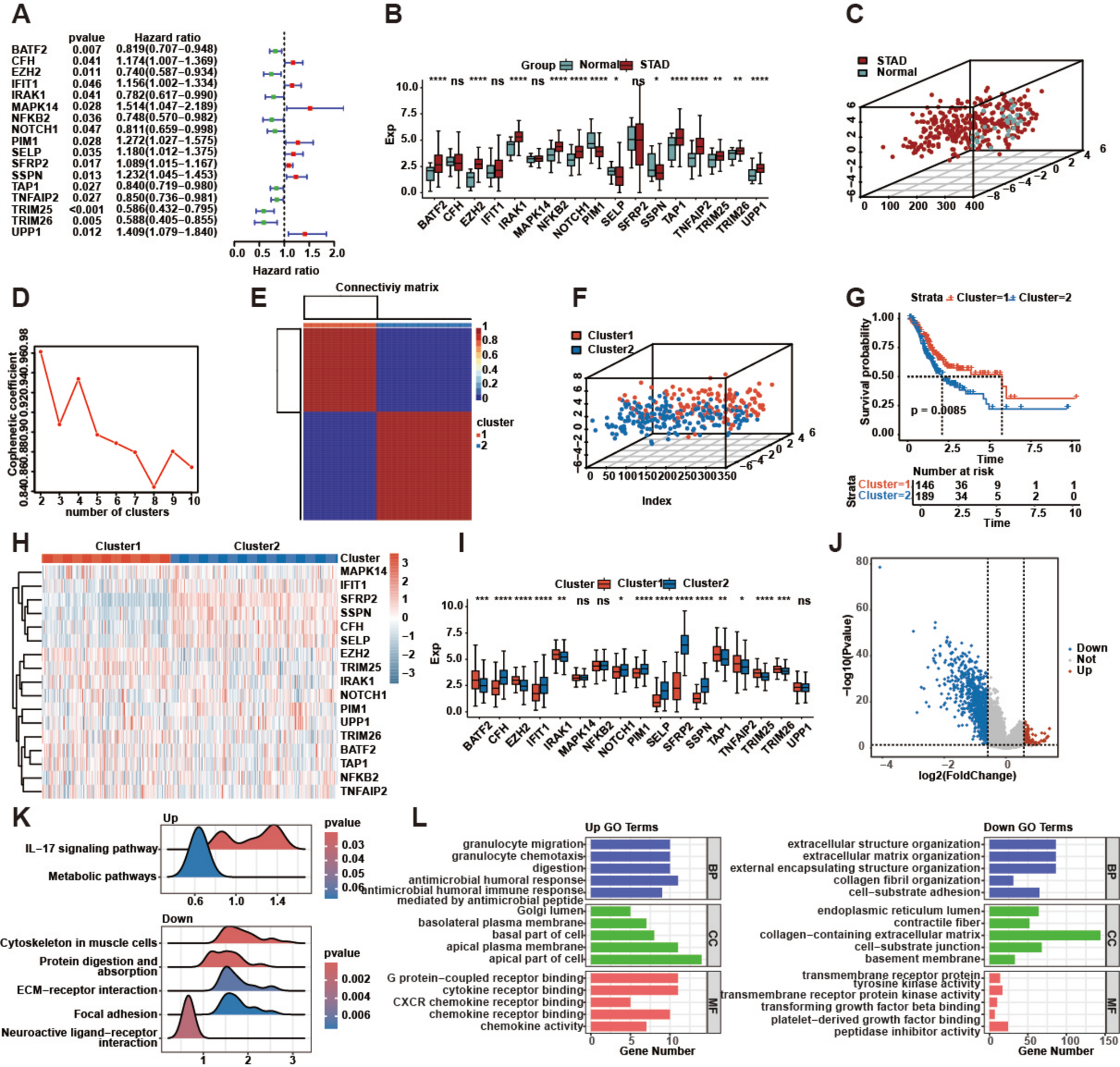 Comprehensive analysis based on IFN-γ and SASP related genes, bulk RNA and single-cell sequencing to evaluate the prognosis and immune landscape of stomach adenocarcinoma