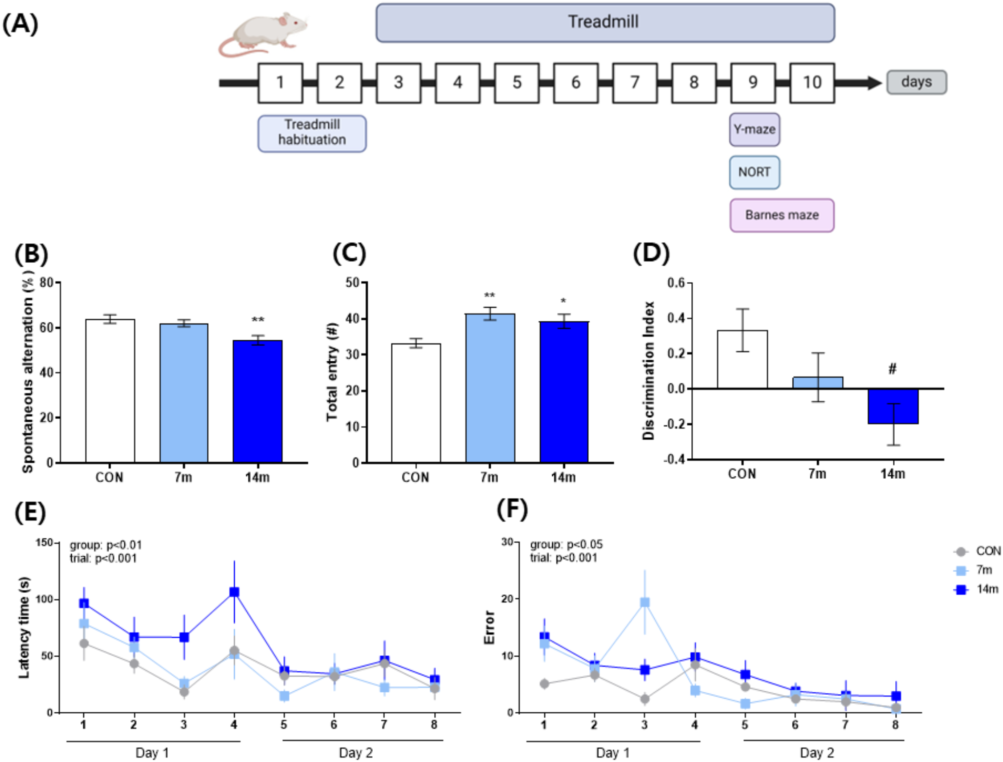 Hippocampal MCT4 as a key regulator in excessive exercise-induced cognitive impairment: involvement of neuroinflammation