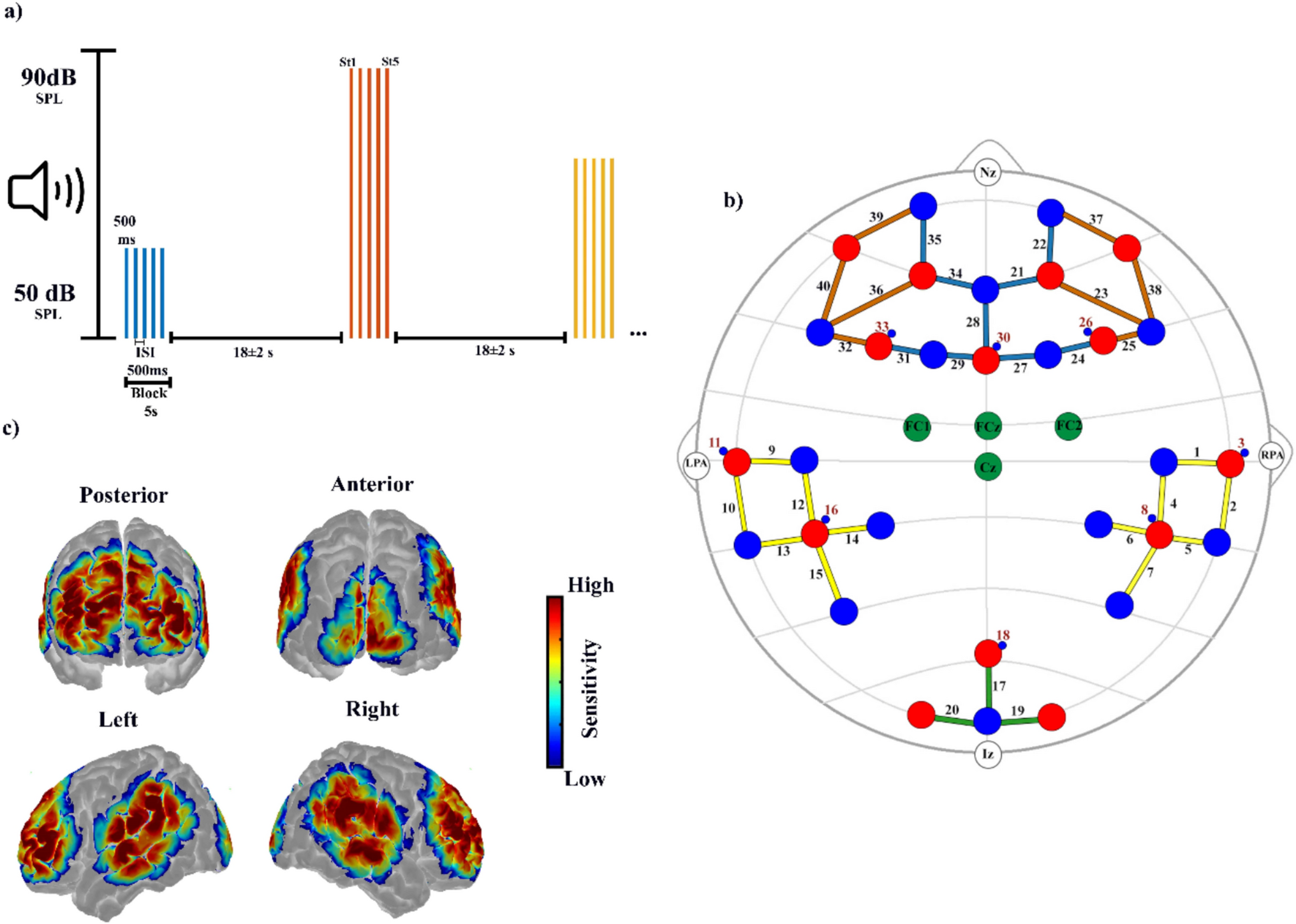 Sound intensity-dependent cortical activation: implications of the electrical and vascular activity on auditory intensity