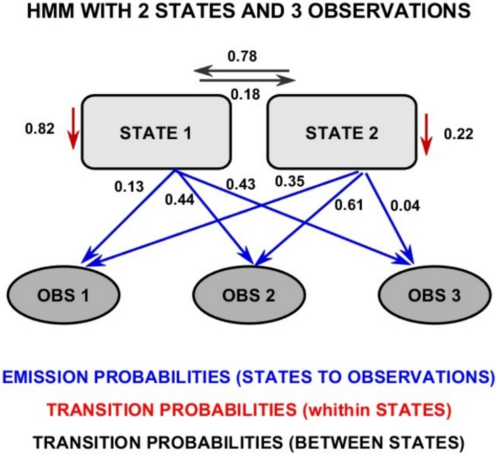 Complexity and non-predictability in neurodynamic: gender-specific EEG dynamics uncovered via hidden markov models