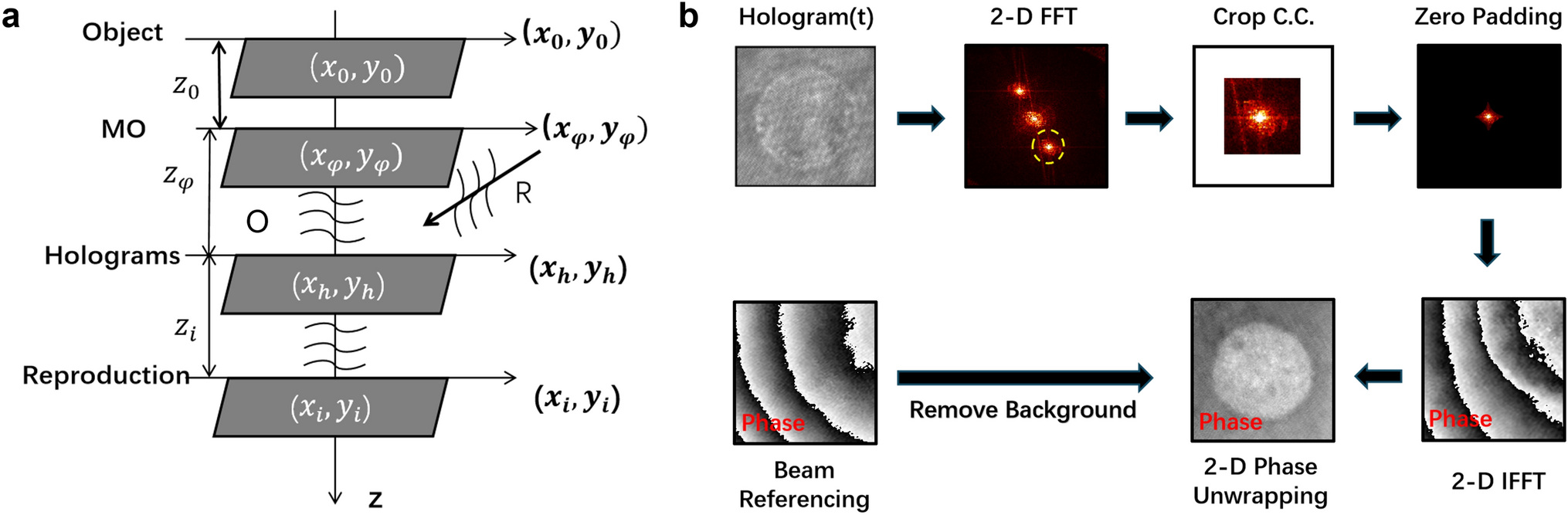 Quantitative analysis of cancer cell morphology using digital holography technology under high temperature stimulation