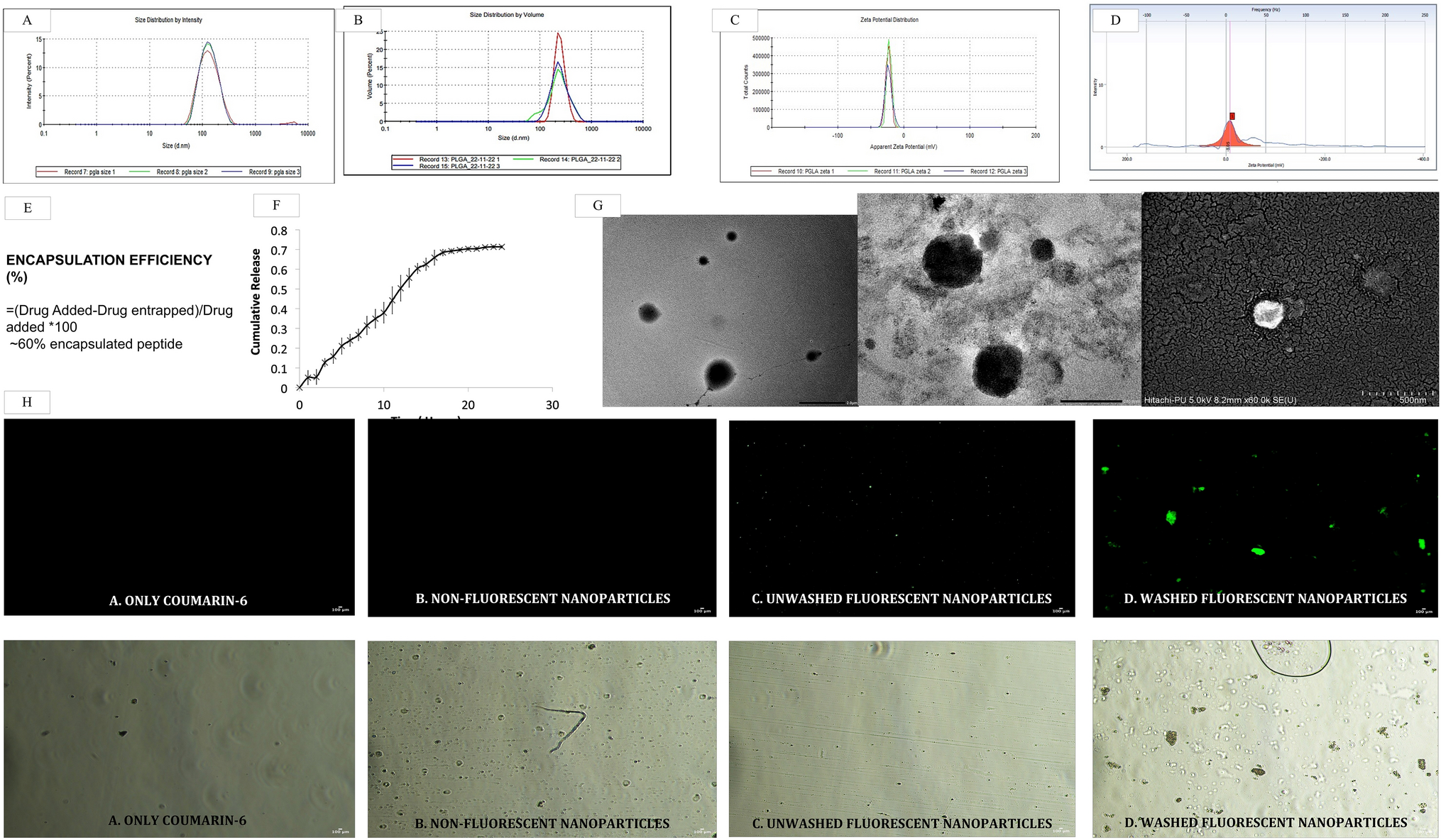 Biodistribution Studies of FITC Labelled DP1 and DP1 Encapsulated Coumarin-6 PLGA Nanoparticles in Murine Model