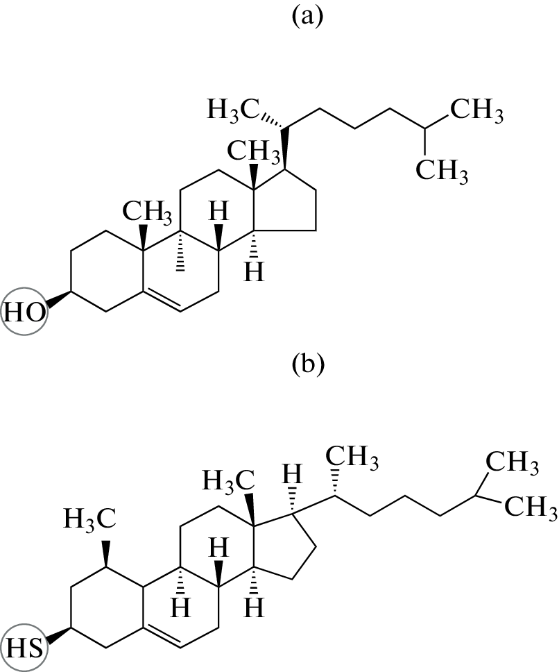 Silver-Cholesterol and Silver-Thiocholesterol Supramolecular Aggregates: Physicochemical Properties and Prospects for Biomedical Applications