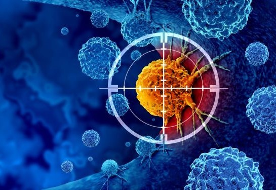 A single genetic mutation may have made humans more vulnerable to cancer than chimpanzees