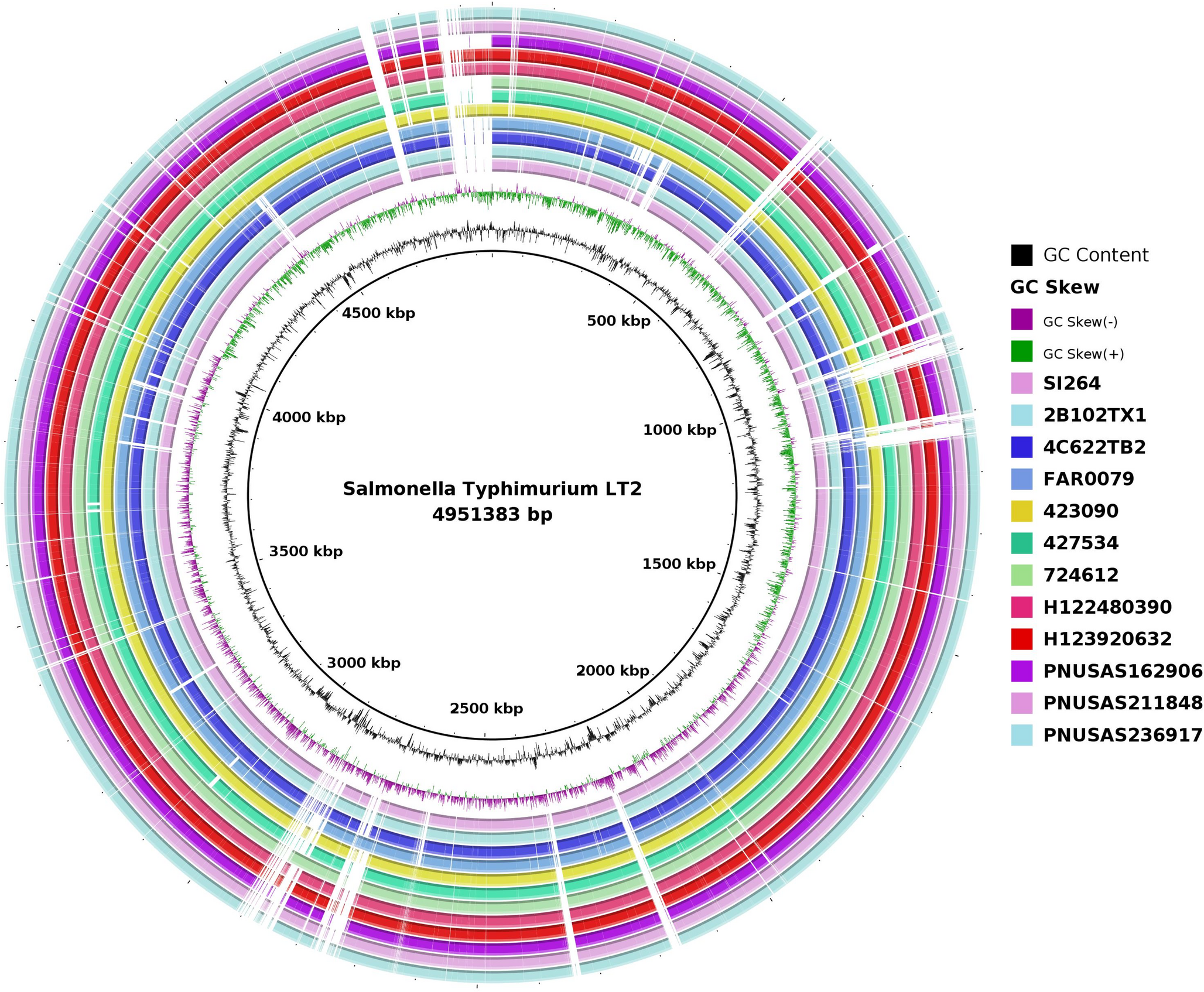 First characterization of the resistome, virulome and genomic diversity of  serovar Inganda: a rare, clinically-related and drug susceptible serovar