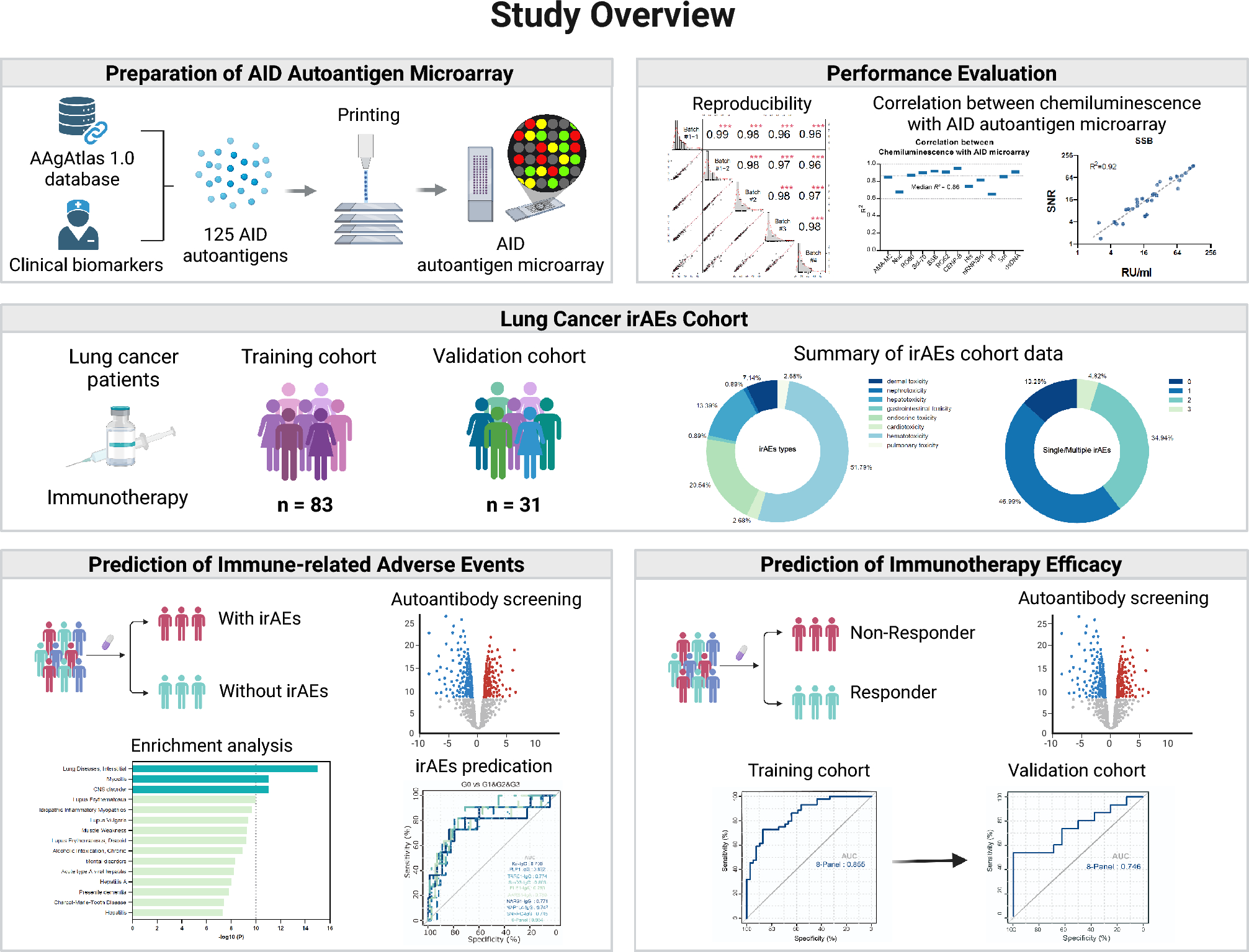 Autoantibody profiling using microarray identifies biomarkers associated with chemoimmunotherapy efficacy and immune-related adverse events in lung cancer patients