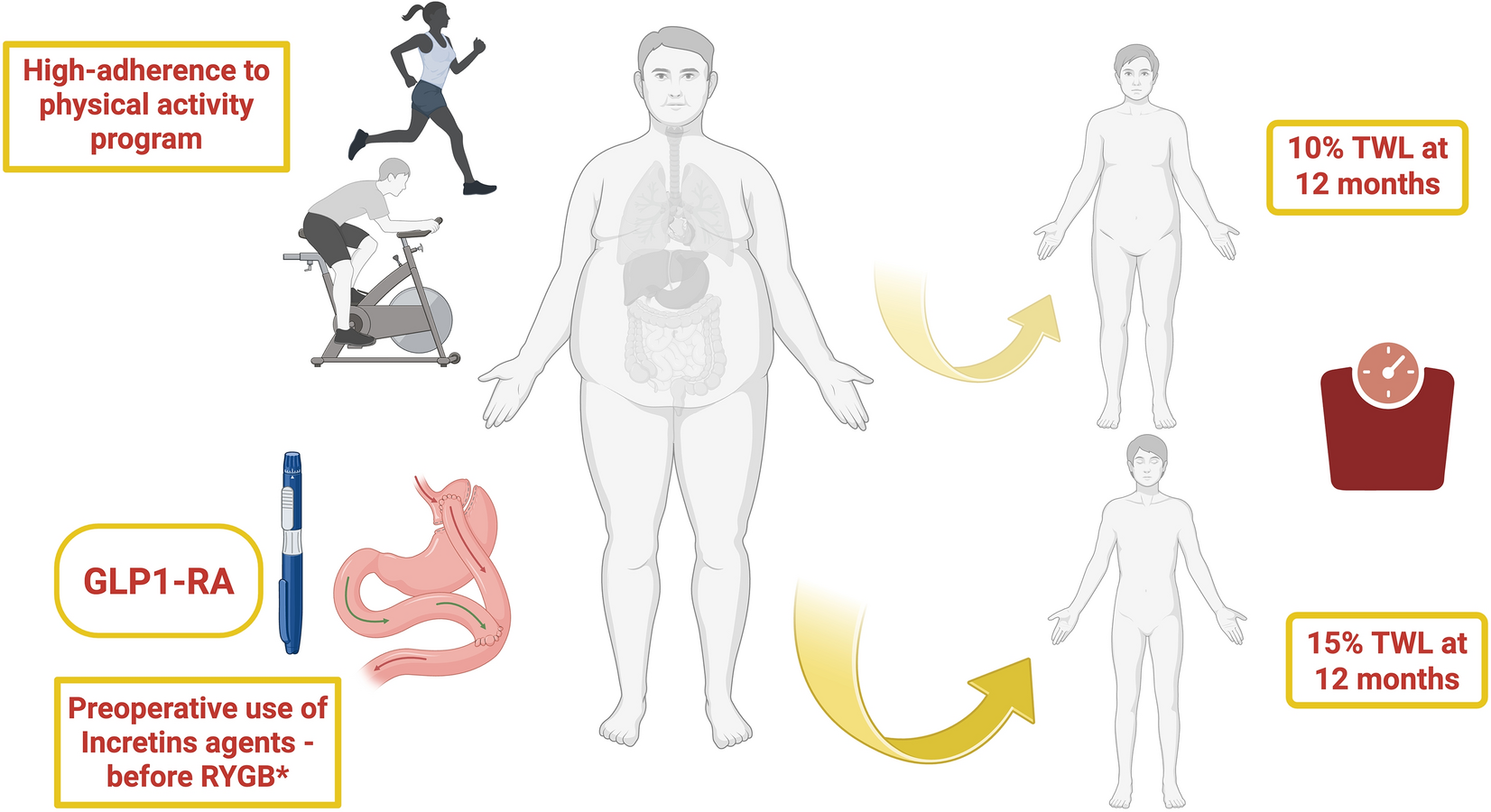 Type 2 Diabetes Mellitus Remission, Dream or Reality? A Narrative Review of Current Evidence and Integrated Care Strategies