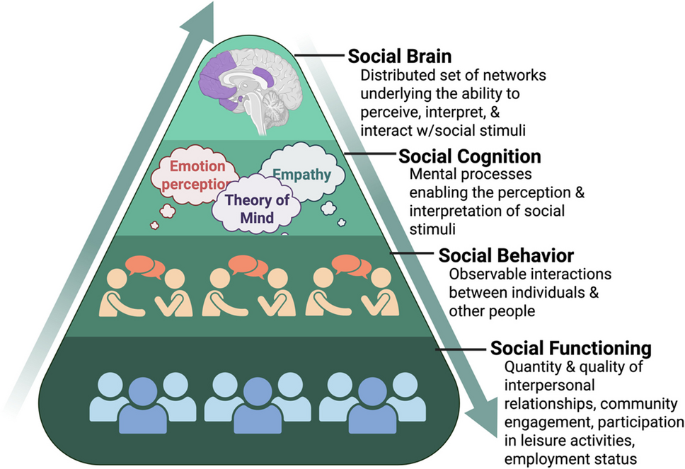 Intracranial Recordings in Epilepsy: an Approach to Understanding the Neural Mechanisms of Social Cognition