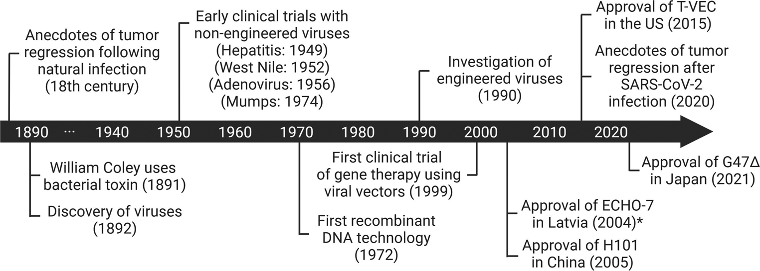 Virus Against Cancer: Paradigm-Shifting Biological Concepts