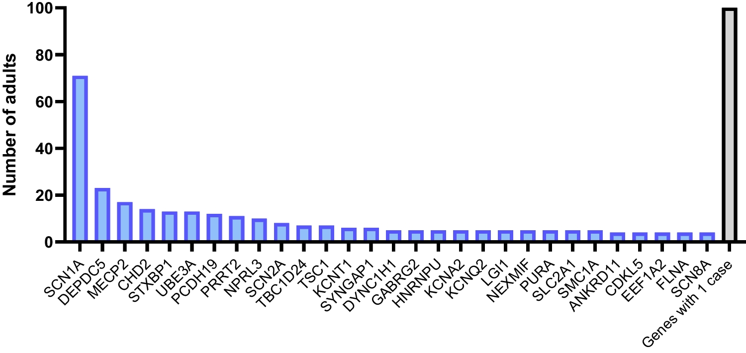 Monogenic Epilepsies in Adult Epilepsy Clinics and Gene-Driven Approaches to Treatment