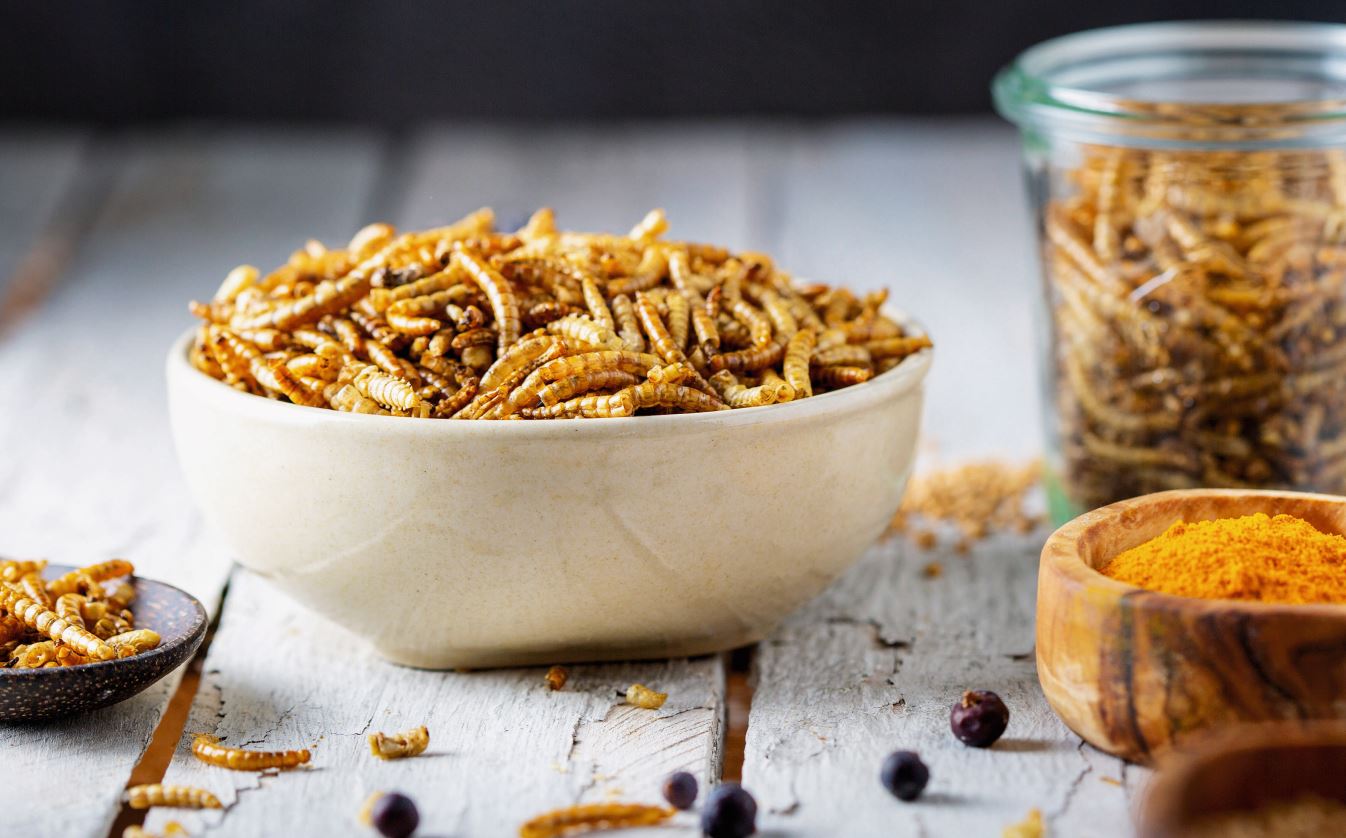 Mehlkäferlarven als potenzielle neue Allergenquelle