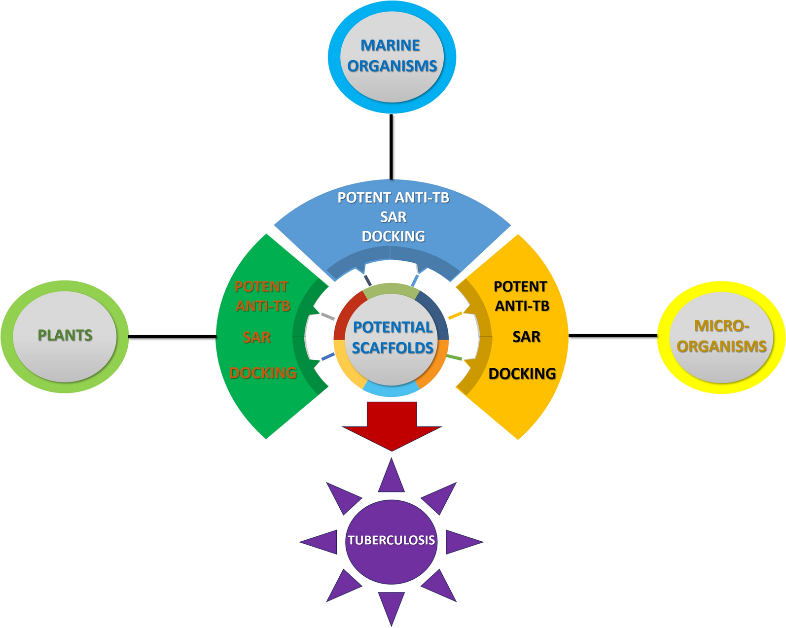 Unlocking potent anti-tuberculosis natural products through structure–activity relationship analysis