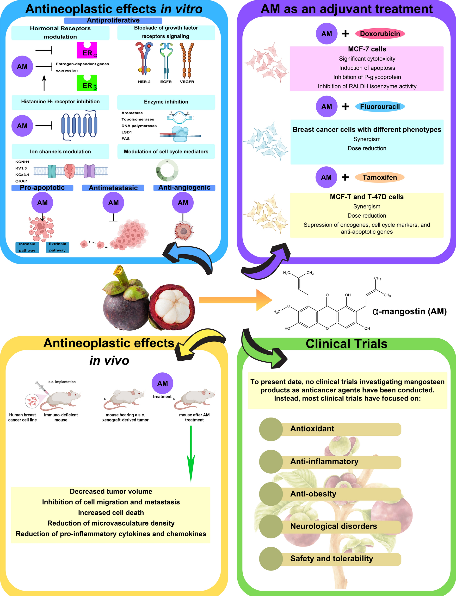 Exploring the antineoplastic potential of α-mangostin in breast cancer