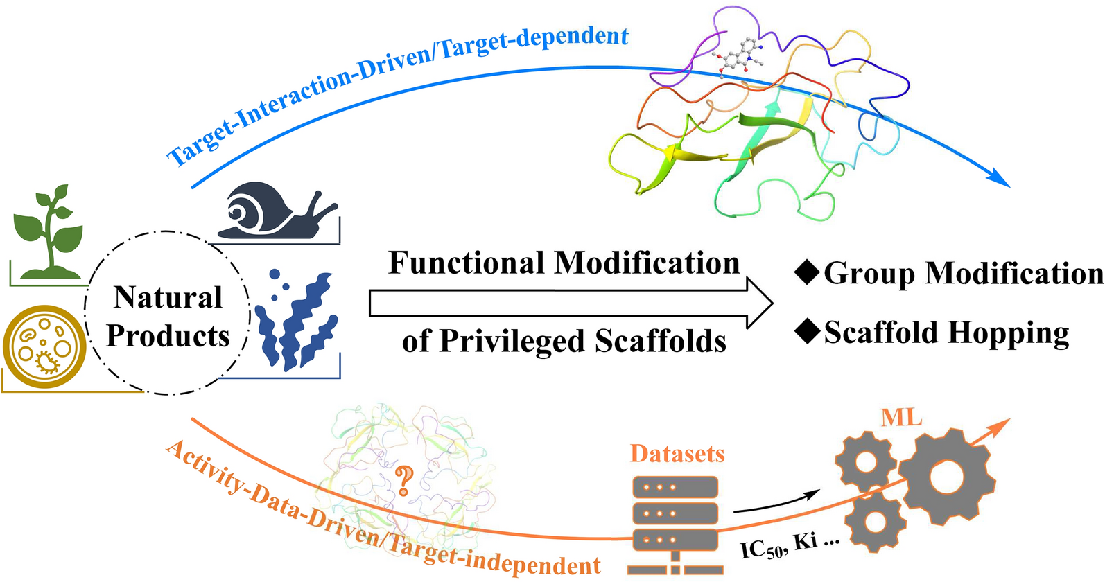 Bridging chemical space and biological efficacy: advances and challenges in applying generative models in structural modification of natural products