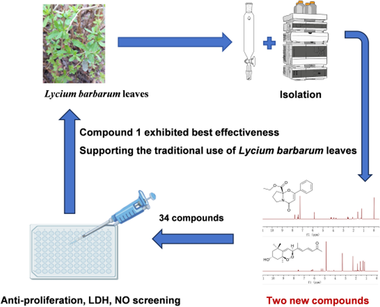 Chemical constituents of  leaves and their anti-rheumatoid arthritis activity in vitro