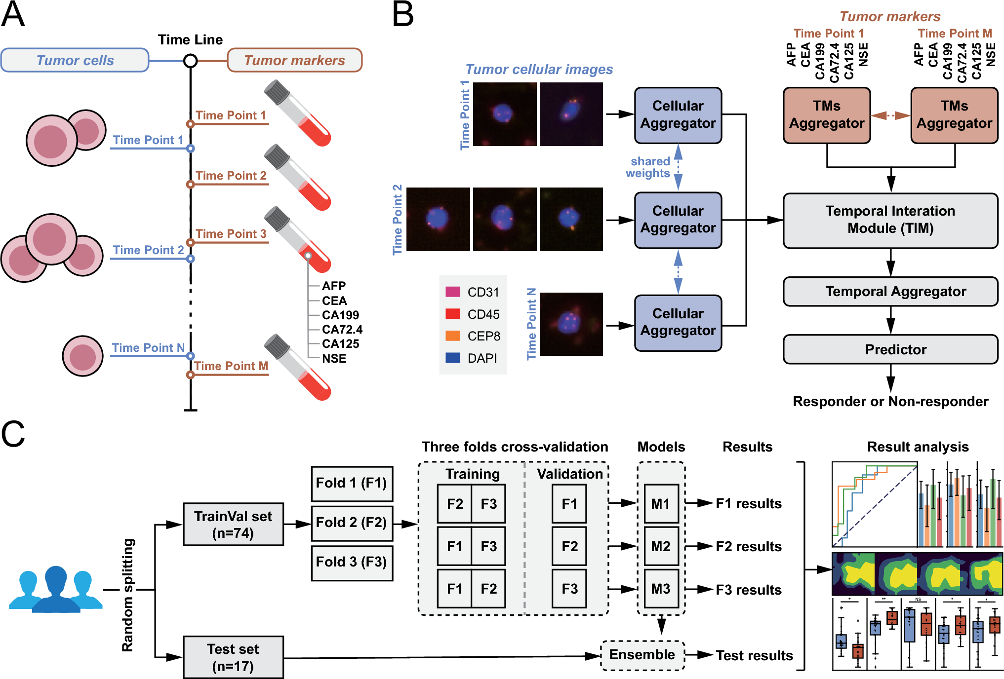 Predicting response to patients with gastric cancer via a dynamic-aware model with longitudinal liquid biopsy data