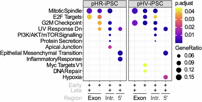 hInGeTox: a human-based in vitro platform to evaluate lentivirus/host interactions that contribute to genotoxicity