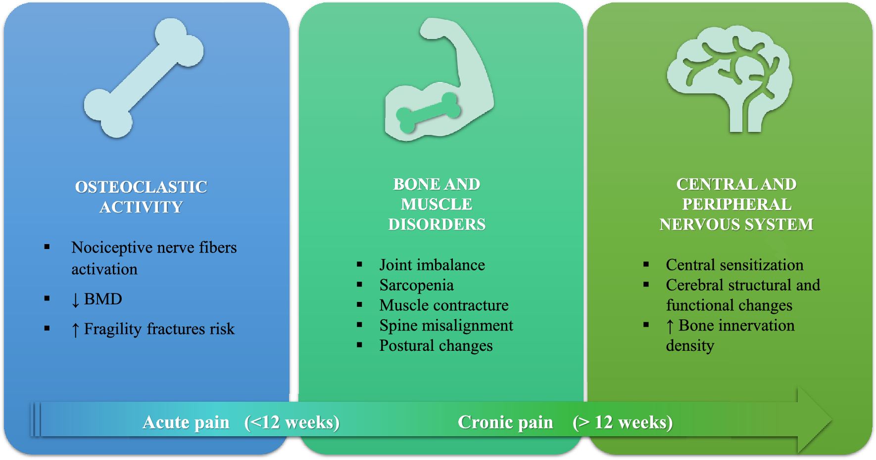 Pain in Osteoporosis: Current and Future Strategies